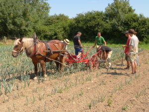 L'atelier paysan