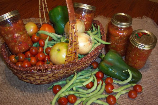 potager-Les Equipes Populaires