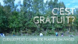 Les Equipes Populaires - Cueillette et cuisine avec les plantes sauvages!