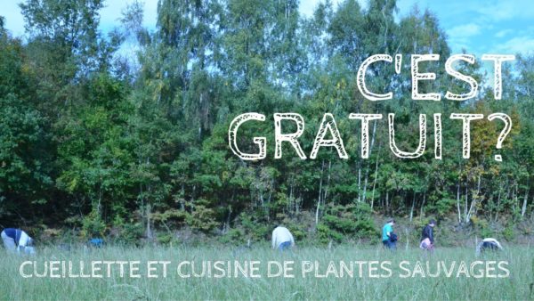 Les Equipes Populaires - Cueillette et cuisine avec les plantes sauvages!